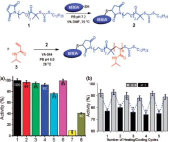 Fig. 4Bio-hybrid block copolymers generated through coupling approaches. (Top image) scheme for the synthesis of proteinthermal precipitate during thermal cycling between 25–polymer BCP.(Bottom image, left) activity of (1) BSA, (2) BSA–macro-CTA, (3) BSA–P