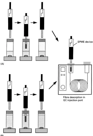 Figure 1Schematic illustration of headspace and immersion SPME/GC methods. (A) Headspace SPME; (B) direct immersionSPME.