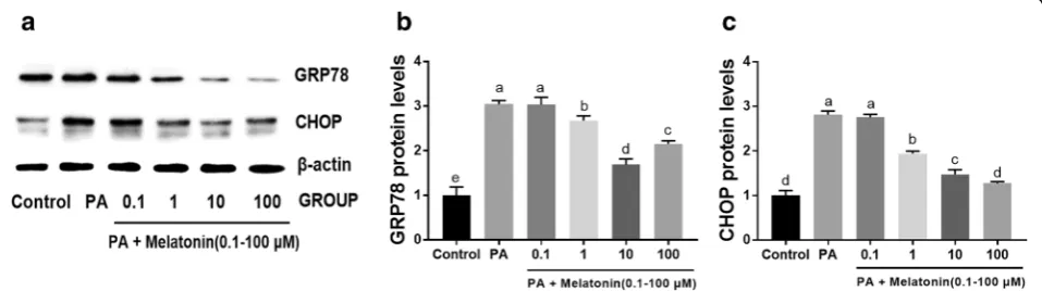 Fig. 6 Effects of melatonin on PA-induced mouse granulosa cell apoptosis and apoptosis-related gene expression.after treatment with different concentrations of melatonin (0.1-100cells after treatment with different concentrations of melatonin (0.1-100ofexp