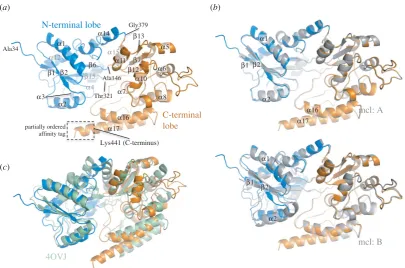 Figure 1. Overview of the structure of UspCform) and identification of secondary structure elements