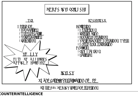 Figure 1-1.  HUMINT roles and functions 