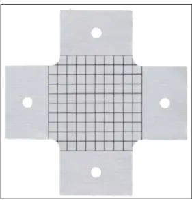 Figure 3 : Bi-axial test configuration. 