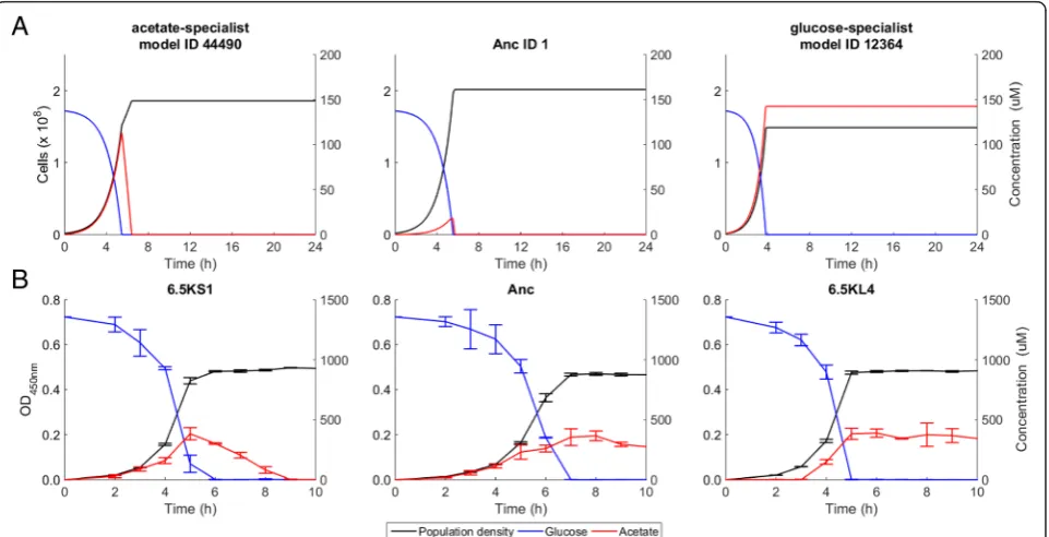 Fig. 3 Simulated and experimental dynamics of population density and substrate concentrations.IDs are the same as in Fig