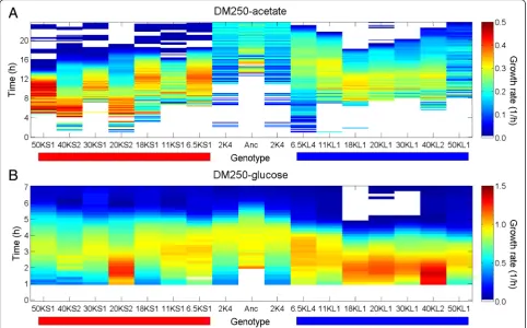 Fig. 6 Transcription levels of four genes encoding metabolic enzymes in the ancestor and evolved clones