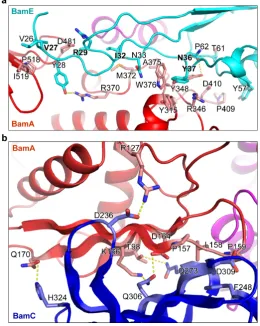    Figure 4 