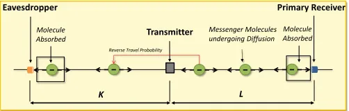 Fig. 1.Illustration of eavesdropping in 1-D molecular communicationchannel.