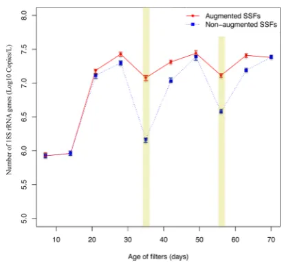 Figure 2. Concentration of 18S rRNA genes in sand samples fromaugmented and nonaugmented SSFs