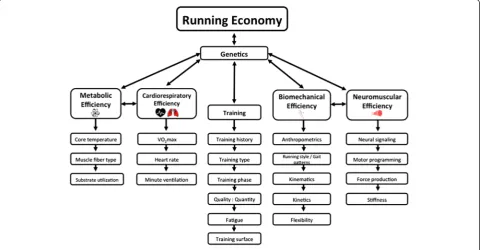 Figure 1 Running economy profiles of two runners of equal VO2max.