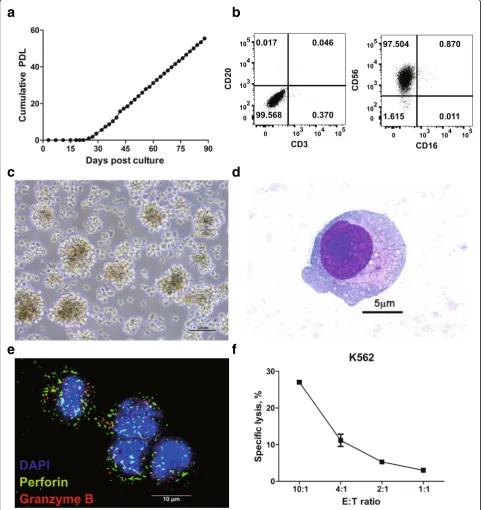 Fig. 1 A newly established cell line, NK101, with natural killer cell-like characteristics