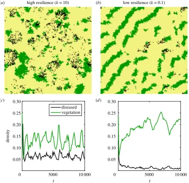 Figure 2. Realization of dynamics for the model described by equation (2.1) (with parameterscompetition resilience, there are constant epidemics leading to a high density of diseased vegetation and anti-persistent vegetation dynamics