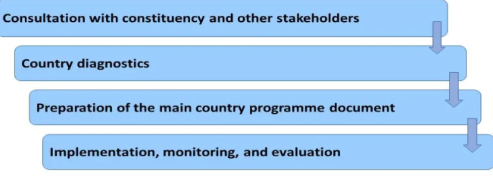 Figure 2. Country programming process Modified from [14]. 