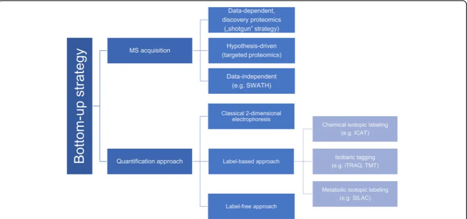 Fig. 2 Division of “bottom up” strategy according to quantification approach and MS acquisition