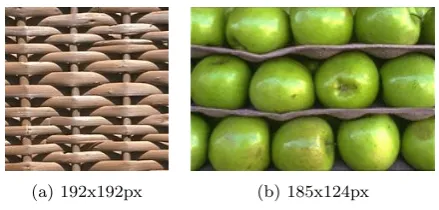Fig. 12: Input textures