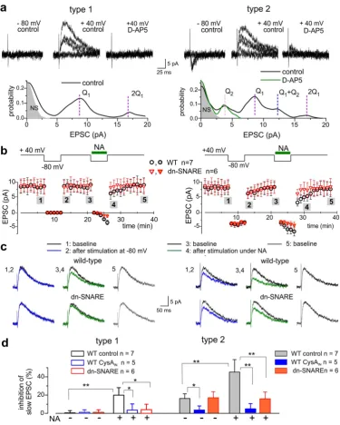 Figure 6. noradrenaline. (recorded within 1 min-long period and pooled for number of experiments indicated