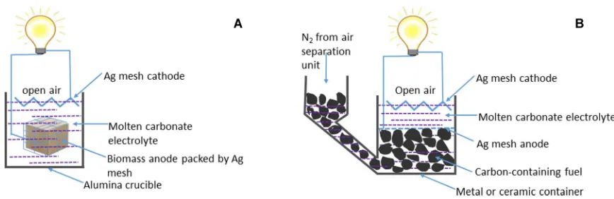 Fig. 1. Schematic diagram of a matrix-free MCFC without flowing CO2 at the cathode. (A) Caged anode