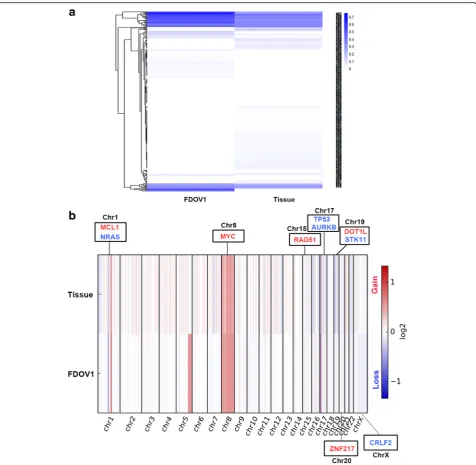 Fig. 7 The results of whole-exome sequencing of FDOV1 and patient’s tumor tissue block