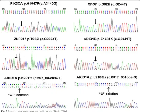 Table 2 Copy number variant (CNV) of FDOV1 by whole-exomesequencing (WES)