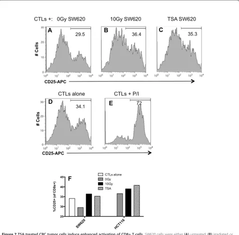 Figure 7 TSA-treated CRC tumor cells induce enhanced activation of CD8+ T-cells. SW620 cells were either (A) untreated, (B) irradiated orincubated with (C) 250 uM TSA for 48 hr or as previously described