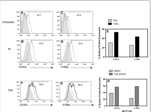 Figure 4 TSA and ionizing radiation treated HCT116 cells increase surface levels of 41BBL protein more than OX40L protein