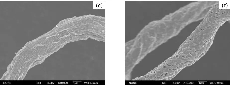 Figure 3. SEM images of CF templates and CoFe (a) Cotton fiber; (b) Cotton fiber at larger magnification, (c) CF-873, (d) CF-873 at larger magnification,   2O4 microtubes calcined at different temperatures