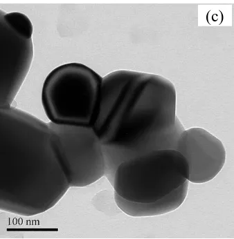 Figure 4. TEM images of CoFe 2O4 microtubes calcined at different temperatures (a) CF-873; (b) CF-1073; (c) CF-1273  