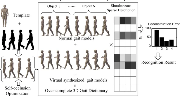 Figure 10. Gait recognition process based on simultaneous spare representation model. 