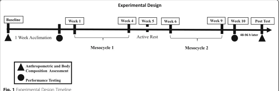Fig. 1 Experimental Design Timeline