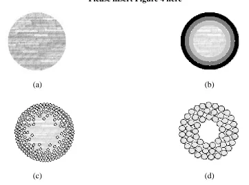 Figure 4. Schematic diagram of formation of Ni0.5Zn0.5Fe2O4 microtubes (cross section view)