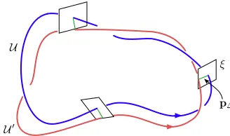 FIG. 8.The self-linking number for transverse umbilic loops.fielddegenerate on the umbilic, one evaluatesThe red curve U0 is formed by pushing U along an eigenvector pΔ of Δ