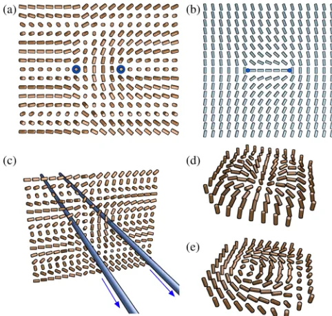 FIG. 1.Umbilic lines. (a) λþ λ− dislocation in a cholesteric. Itcontains two generic umbilics