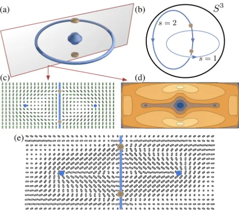 FIG. 4.Umbilic lines in a toron. (a) Simulation results showingpoint defects and characteristic umbilic loop in a toron