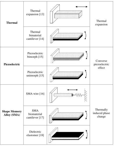 Table 2.2. From Table 2.2, rotary motion electrostatic actuator has better performances 