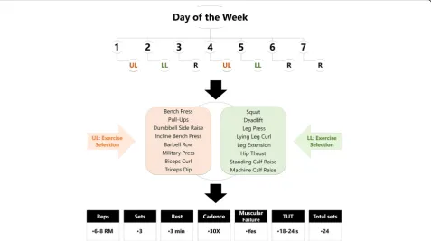 Fig. 2 Overview of training protocol. WK: Workout (microcycle); UL: Upper-Limb; LL: Lower-Limb; R: Rest; 30X: 3 s of eccentric contraction andexplosive movement during concentric activity