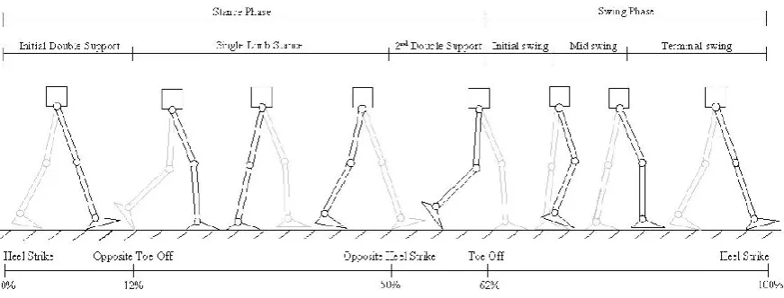 Figure 2.1: Walking cycle for stairs climbing motion, adapted from [6] 