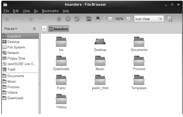 Figure 9-1  The ksanders user’s system environment