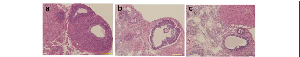 Fig. 1 The morphological changes of the ovary in the different groups. Representative histologic images of ovary stained by hematoxylin andmorphology of the follicles