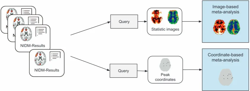 Figure 4. Image-based and coordinate-based meta-analyses using NIDM-Results. Each NIDM-Results packis queried to retrieve the data and metadata of interest for each type of meta-analysis