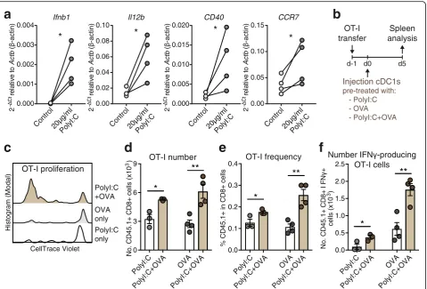 Fig. 1 Adoptive transfer of Ag and adjuvant-treated natural mouse cDC1s promotes CD8+ T cell immunity.washed and 2 × 10tshown intumor-bearing mice and treated with 20levels of a Quantitative PCR analyses of mRNA Ifnb1 (IFNβ protein), Il12b (IL12-p40 protei