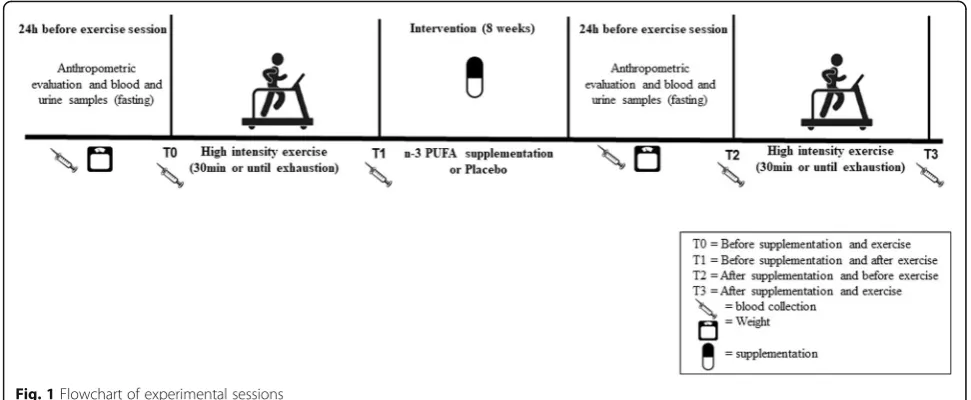 Fig. 1 Flowchart of experimental sessions