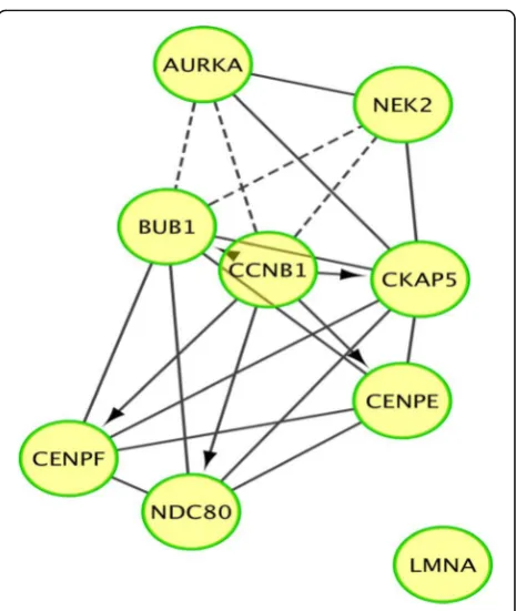 Fig. 3 Pathway analysis illustrating differential gene expression andassociation between gene nodes