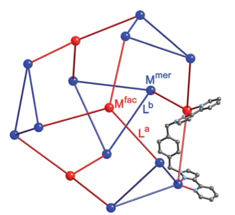 Fig. 2) and a set of 12 (Mmer, connected to one another in sets of