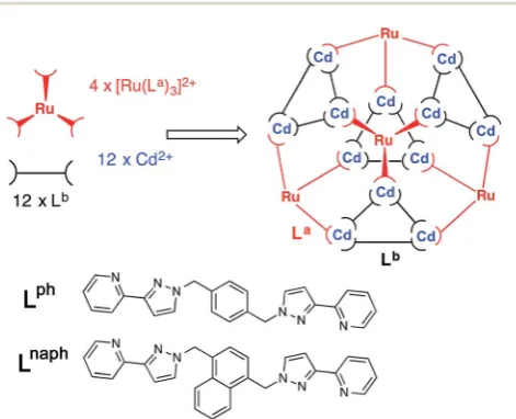 Fig.4(L(Lin the RuTwoviews of the crystal structure of [Ru4Cd12(Lph)12-naph)12](PF6)7(BF4)25