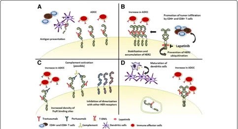 Fig. 1 Immune related mechanisms of action of HER2-targeted agents: trastuzumab (a), lapatinib (b), pertuzumab (c), T-DM1 (d)