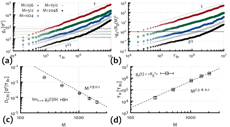 Fig. S3.(a) The contact probability function Pc(m) (deﬁned in eq. [8]) shows a scaling behaviour m−γ with γ slightly dependent on the choice of the cut-oﬀ a butcompatible with previous ﬁndings [2]