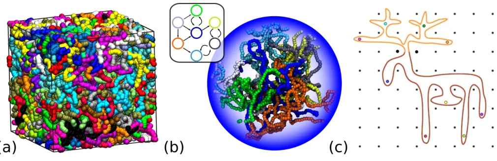 Fig. 1.Networks of threadings (a)through blue). The sketched network in the top corner is obtained by visual inspection and depicts the penetrations of the rings