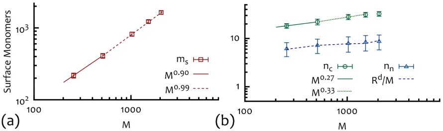 Fig. S1.(a) Ensemble average of the radius of gyration ⟨Rg⟩ ≡ ⟨Rg2⟩1/2 and plotted against rings’ contour length s (main) and total length M (inset) both in unitsof the bead size