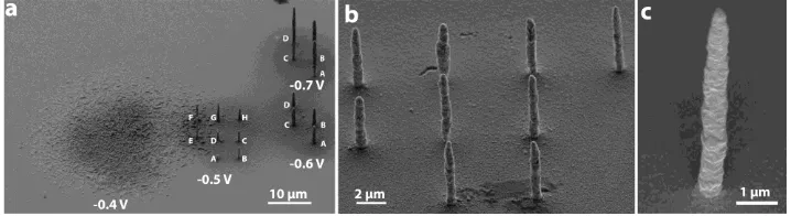 Figure 3. SEM micrographs (taken at a 45° inclination angle) of copper pillars patterned on gold 