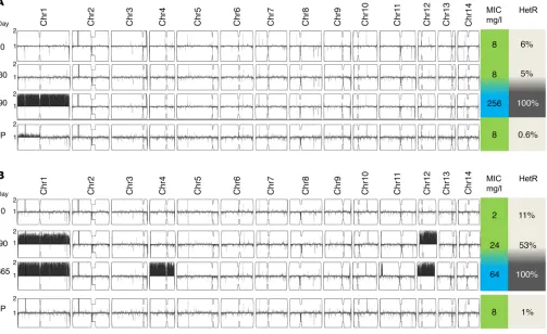 Figure 9. Clinical relapse of cryptococcal meningitis with high MIC to FLC is associated with transient chromosomal duplication