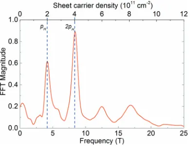 FIG. 6. Fast Fourier transform of the low ﬁeld (<0.8 T) magnetoresistanceat 338 mK as a function of inverse ﬁeld