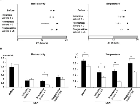 Figure 6: Dynamics of rest-activity and body temperature rhythms throughout liver carcinogenesis processes according to Per2 loss-of-function